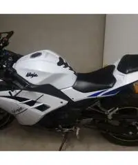 Kawasaki Ninja depotenziata - 2