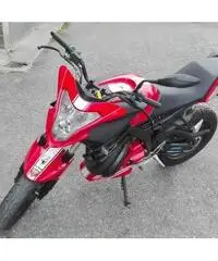 Malaguti DRACON NDK 50cc Ducati Corse