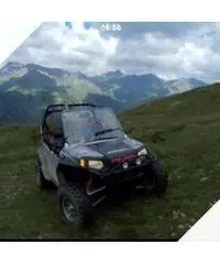 Polaris rzr 800 s