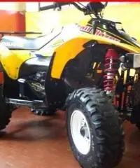 POLARIS Trail Blazer 250 GIALLO - 4500 - 2