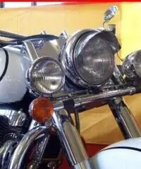 SUZUKI Intruder LC 1500 BIANCO - 65000 - 6