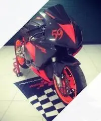 CBR 600 RR pronto gara pista