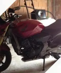 Honda hornet