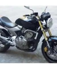 HONDA Hornet 600 97CV 2004 - 4