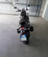 YAMAHA V-Max 2009 - 4