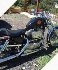 Harley 883 - 2