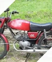 Moto Guzzi dingo 50 gt - Anni 70 - 2