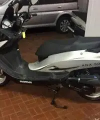 Scooter 50 Motom - 5