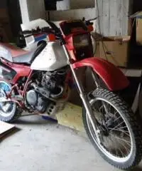 HONDA Xl tipo veicolo Enduro cc 600 - 2