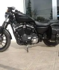 HARLEY DAVIDSON 883 tipo veicolo Custom cc 883 - 2