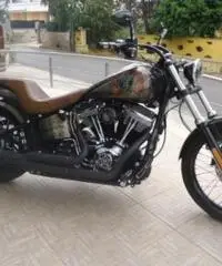 HARLEY DAVIDSON FXST tipo veicolo Custom cc 1580 - 3