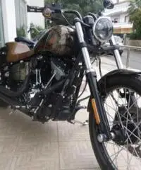 HARLEY DAVIDSON FXST tipo veicolo Custom cc 1580 - 5