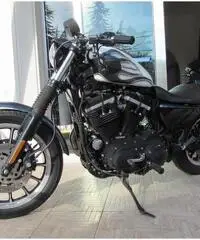 HARLEY-DAVIDSON Sportster 883 Custom cc 883 - 4