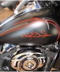 HARLEY-DAVIDSON Touring Electra Glide Custom cc 1690 - 3