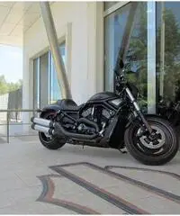 HARLEY-DAVIDSON VRSCDX Custom cc 1246 - 5