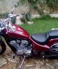 Honda shadow - 4