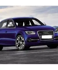 AUDI SQ5 3.0 V6 TDI Biturbo quattro tiptronic - 2