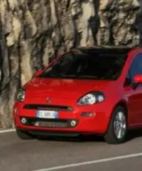 FIAT Punto 1.2 8V 5 porte Street - 3