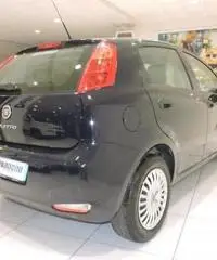 FIAT Punto 1.2 8V 5 porte Street *GARANZIA FIAT* - 3