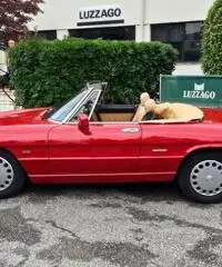 Alfa Romeo - Spider 1600 (115A2) - 2