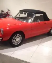 ALFA ROMEO Spider DUETTO "OSSO DI SEPPIA"