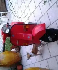 PIAGGIO Vespa tipo veicolo 50cc cc 50 - 3