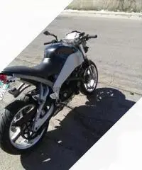 Xb 900buell