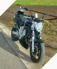 Yamaha FZ6 - 2004