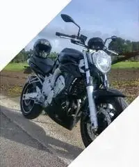 Yamaha FZ6 - 2004 - 2