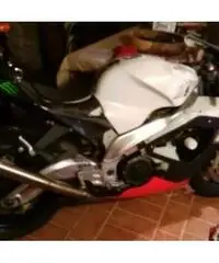 APRILIA RSV 1000 RSV 1000 - 5