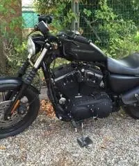 HD sportster 883 iron - 3