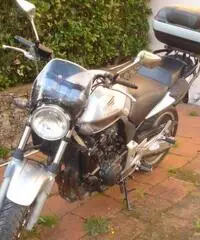 vendo honda 600 cbf - 2