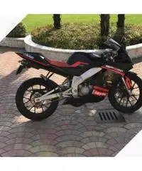 Derbi gpr 50