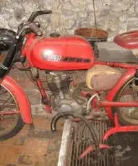 Corsaro 125 anni 60 - 2