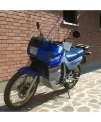 Honda Transalp 600V - 3