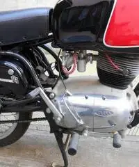 GILERA 175 EXTRA - 5