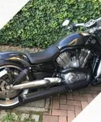 Harley davidson V road - 2