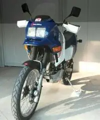 INTROVABILE GILERA XRT 600 DEL 1988 - 10