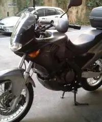 Aprilia Pegaso 650 anno 2003