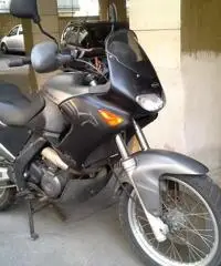 Aprilia Pegaso 650 anno 2003 - 3