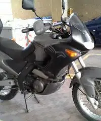 Aprilia Pegaso 650 anno 2003 - 5