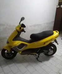 GILERA Runner 50 C14101 - 2