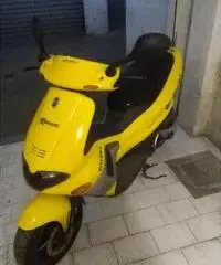 GILERA Runner 50 C14101 - 5