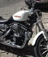 Harley Davidson Sportster 883 - 3