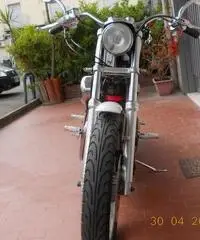 Harley Davidson Sportster 883 - 5