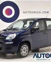 FIAT Panda 1.2 EASY NEOPATENTATI SOLO 29.000 KM