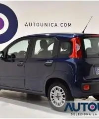 FIAT Panda 1.2 EASY NEOPATENTATI SOLO 29.000 KM - 2