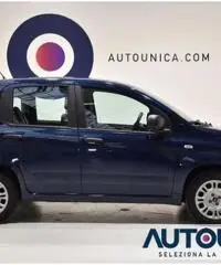 FIAT Panda 1.2 EASY NEOPATENTATI SOLO 29.000 KM - 7