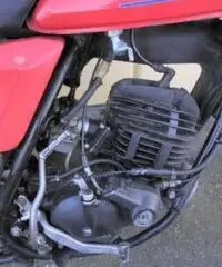 CAGIVA SXT tipo veicolo Enduro cc 125 - 3