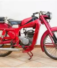 CAPRONI CAPRIOLO 75 cc